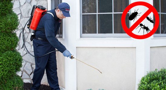 Ayrancı Hamam Böceği İlaçlama böcek ilaçlama ve haşere kontrolü — ilaclama-tr.com